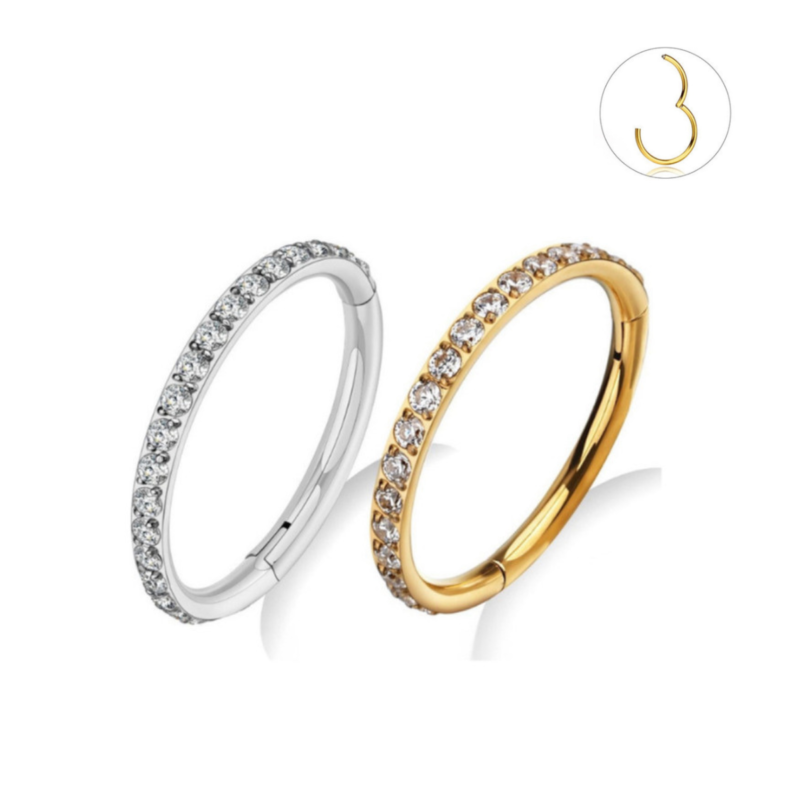 Argola Titânio Cravejada Com Zircônias Brancas